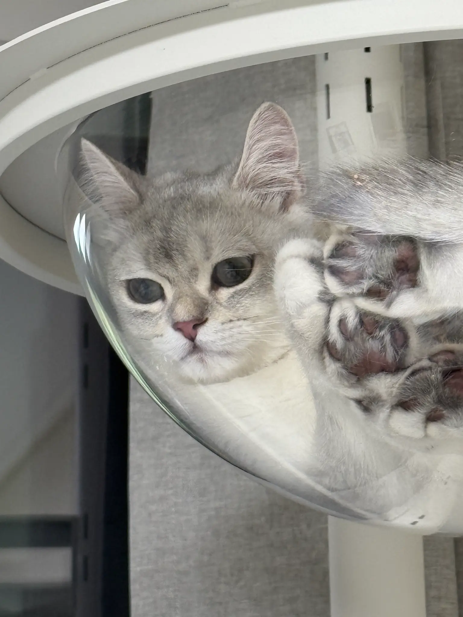 오늘도 귀엽다 🐾