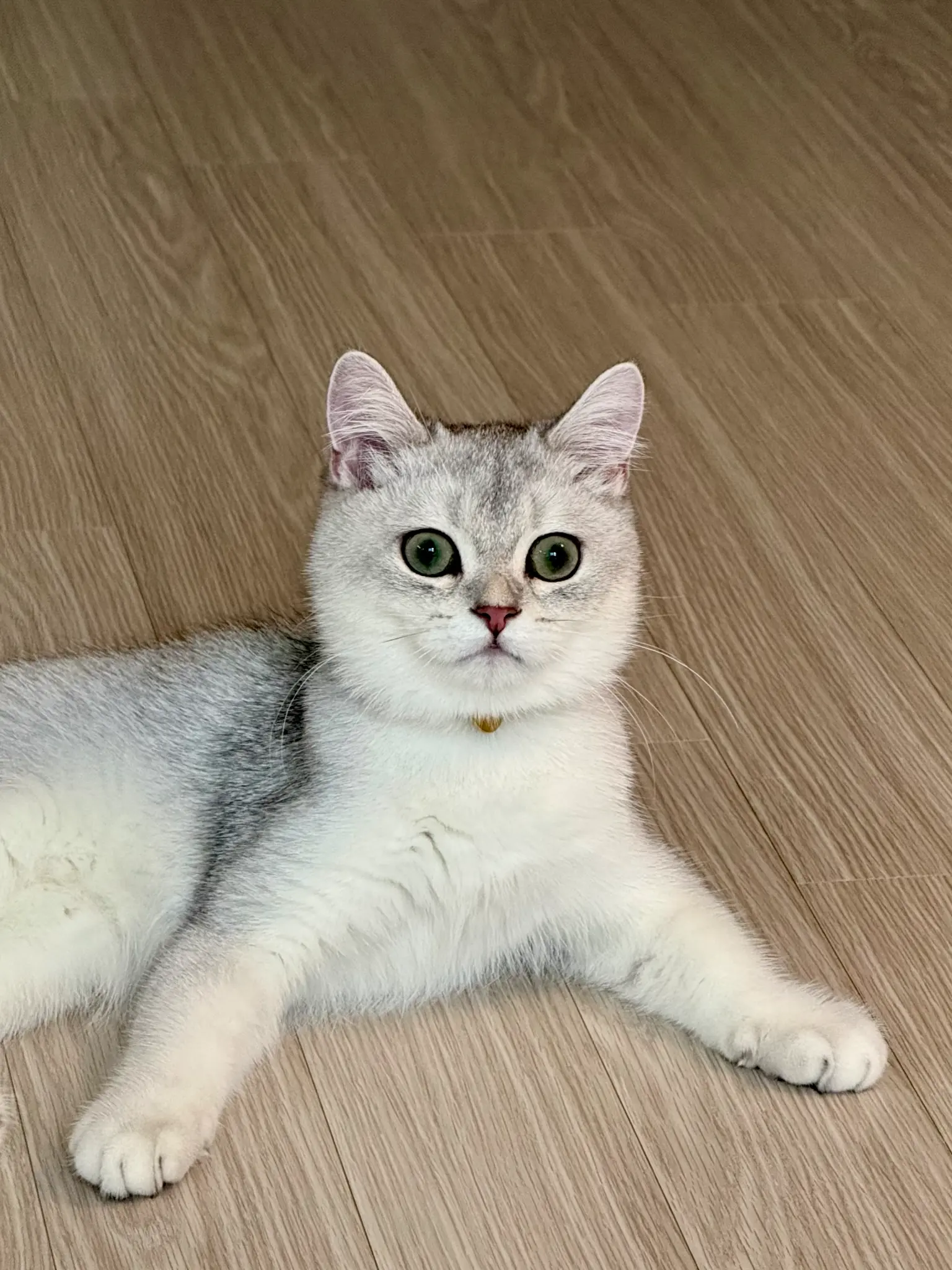 창밖 구경 🌿