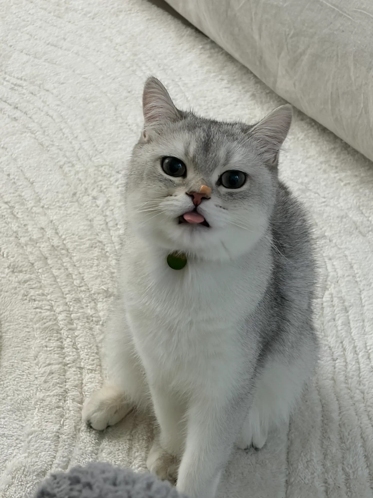 오늘도 행복해 🌟