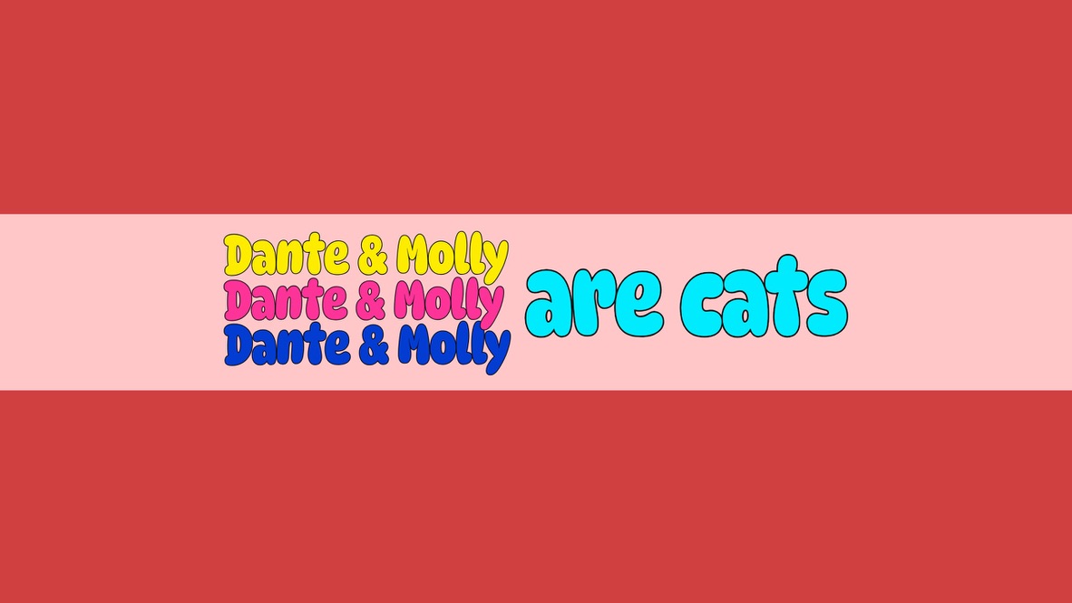 Dante & Molly are cats