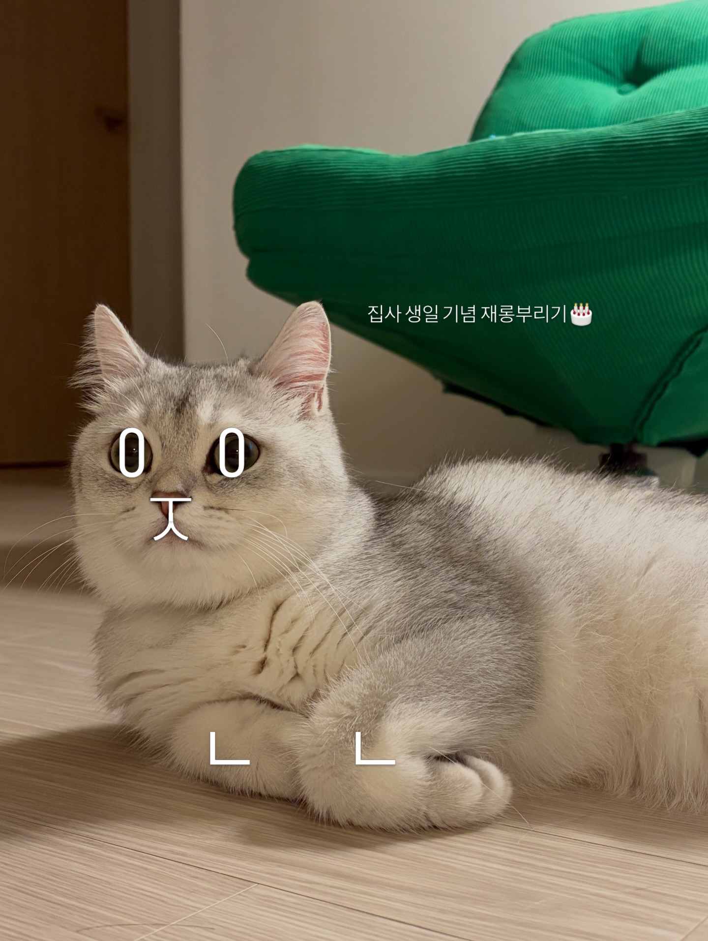 가만히 있어도 재롱이 되는 마법🧙