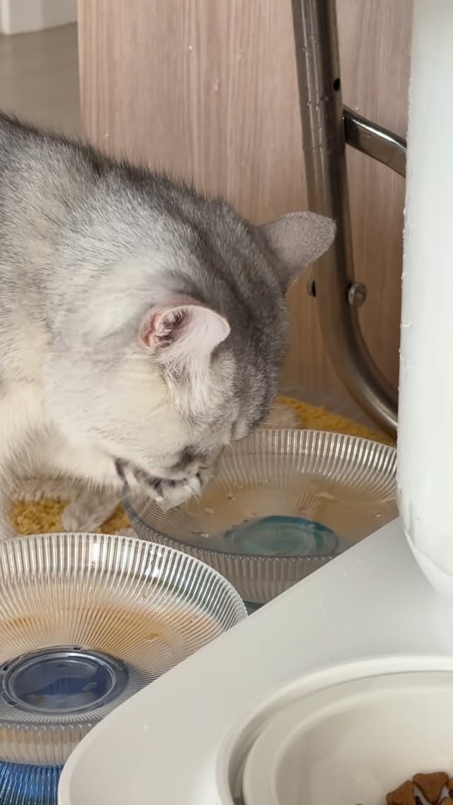 이렇게 하는거 맞아……?